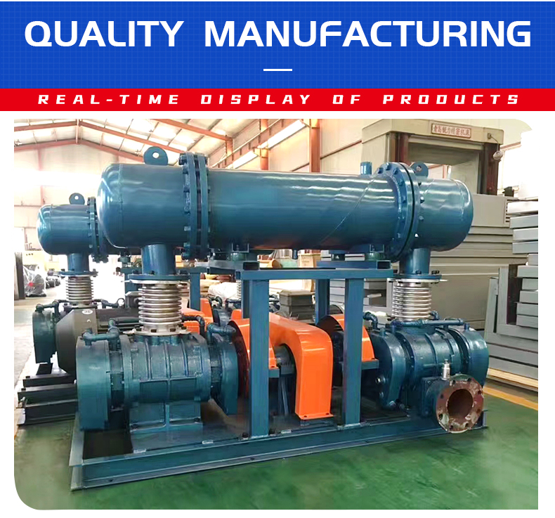 Bipolar tandem Roots Blower