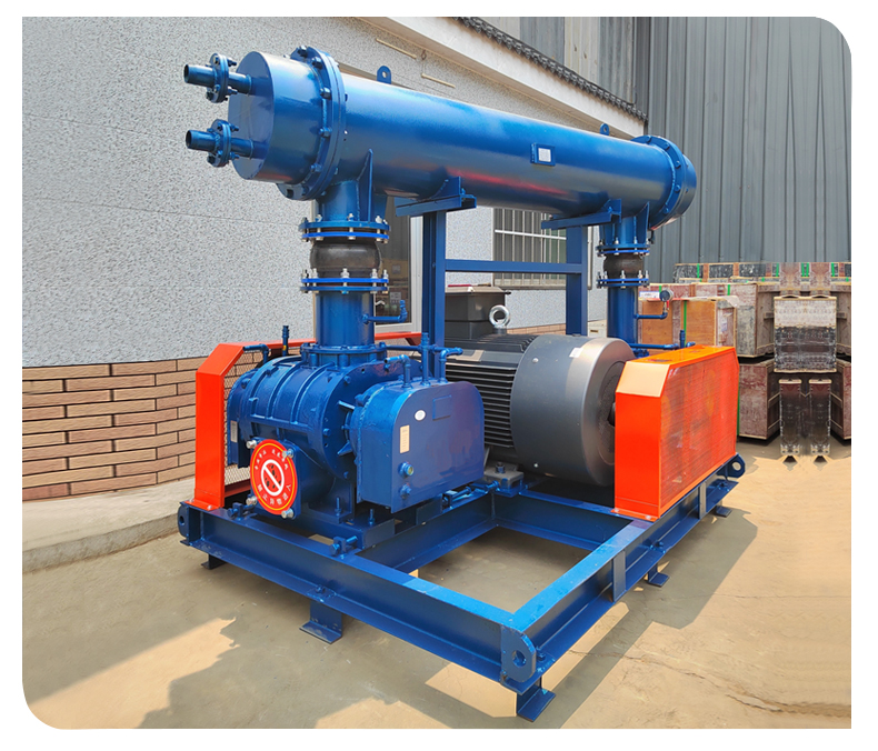 Bipolar tandem Roots Blower