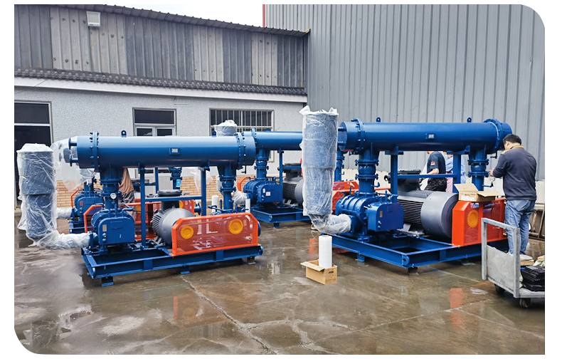 Bipolar tandem Roots Blower