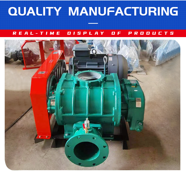 Aquaculture Blower