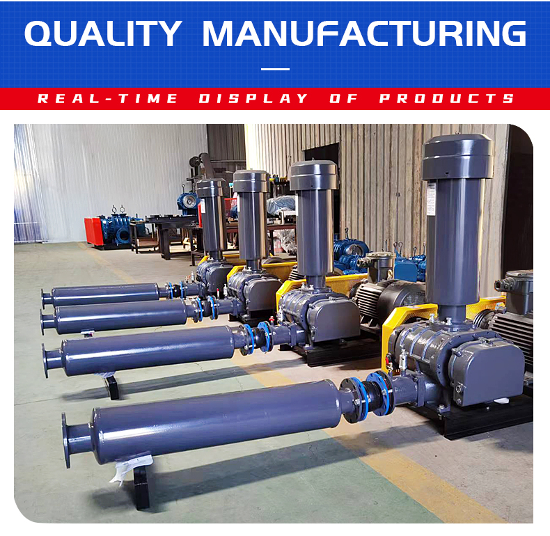 Roots blower for sewage treatment