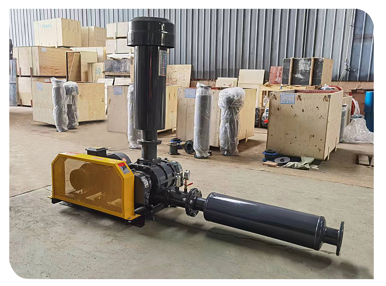 Roots blower for sewage treatment