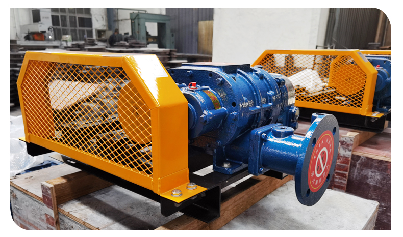 Sewage treatment Blower