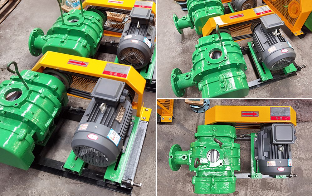 Biogas conveying Blower