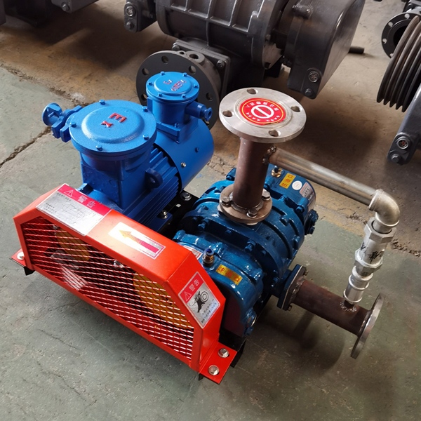Special Roots Fan Biogas Conveying Fan