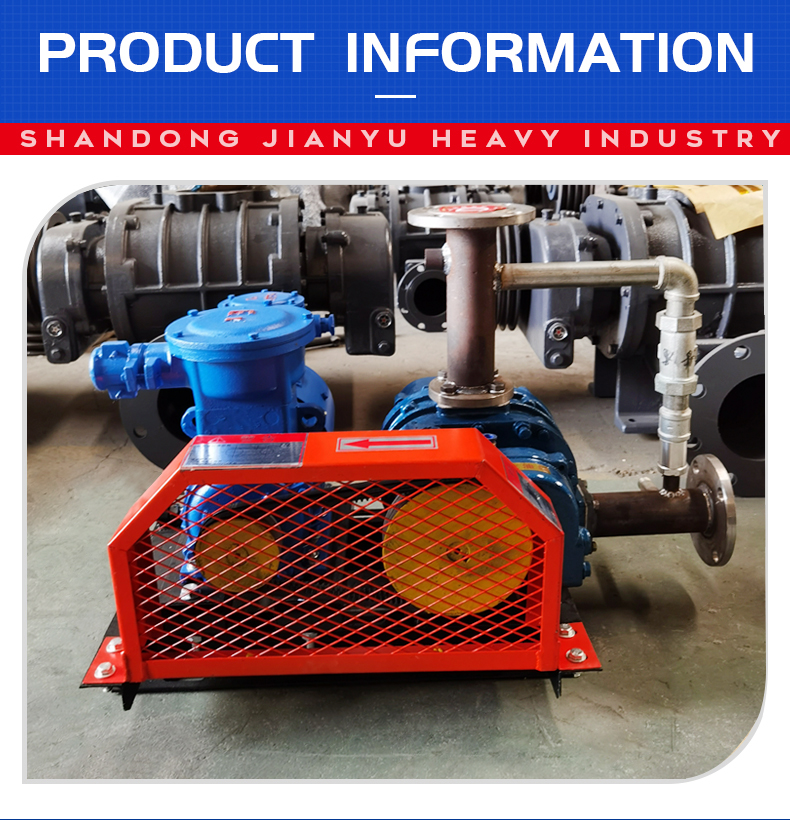 Biogas conveying Blower