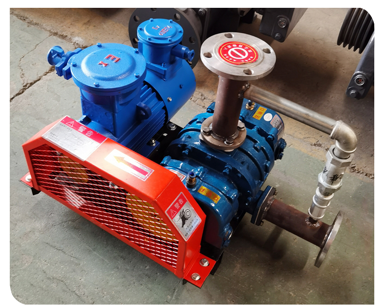 Biogas conveying Blower