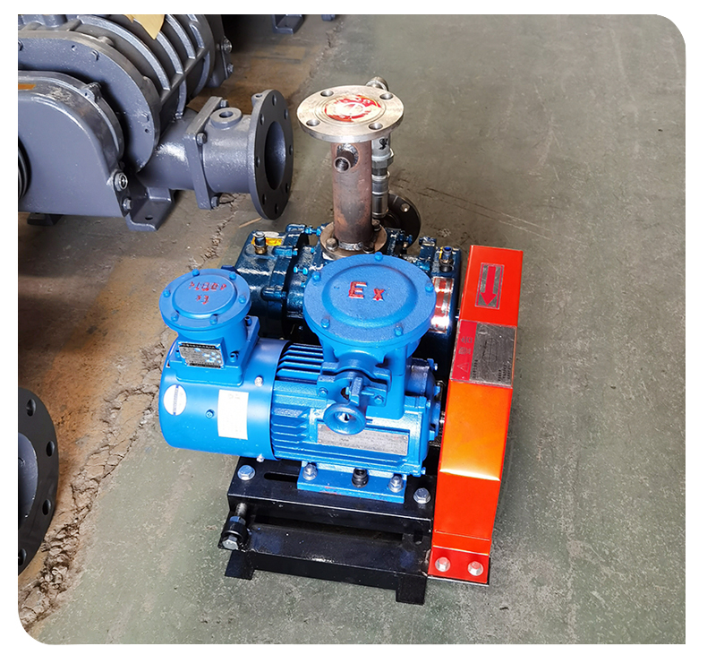 Biogas conveying Blower