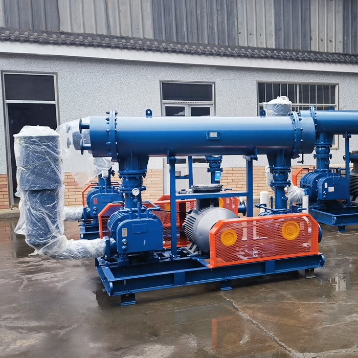 Desulphurization High Pressure Bipolar Series Roots Fan