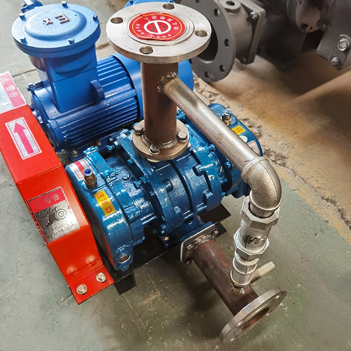 Special Roots Fan Biogas Conveying Fan