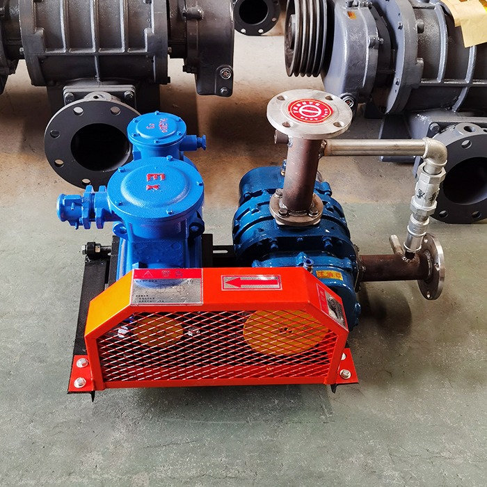 Special Roots Fan Biogas Conveying Fan