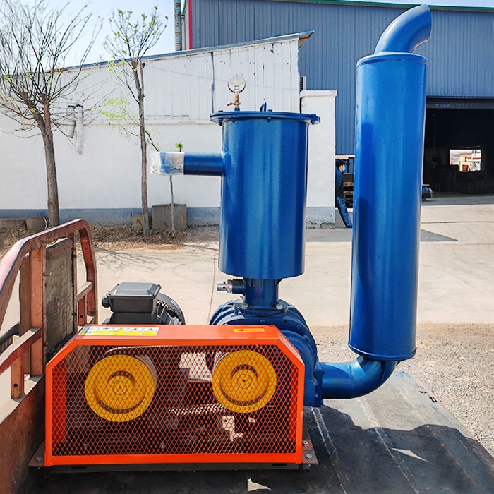 Vacuum Feeding Can Be Customized Vacuum Pump