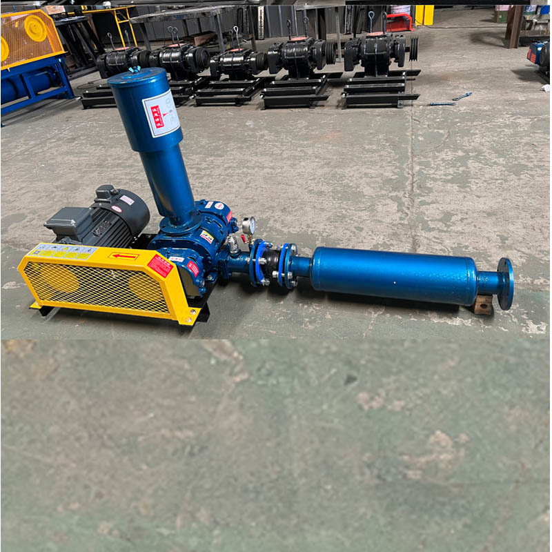 Aquaculture Sewage Treatment Two-leaf Roots Blower