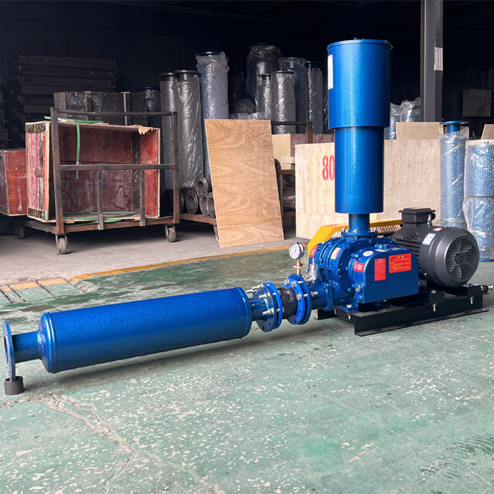 Aquaculture Sewage Treatment Two-leaf Roots Blower