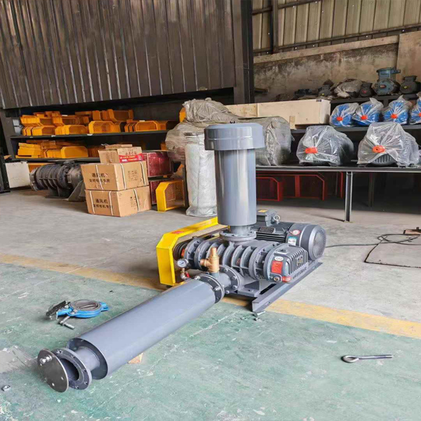 Guide for purchasing characteristics of Roots blower in Longtie