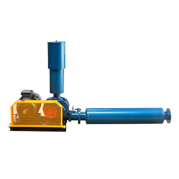 Brief Introduction of Roots Blower (1)
