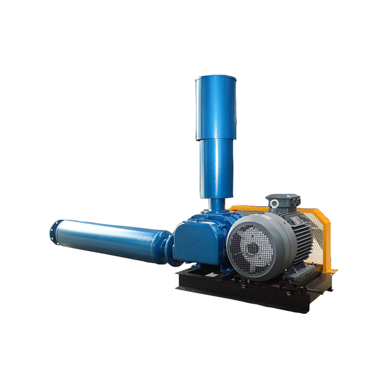 Brief Introduction of Roots Blower (2)