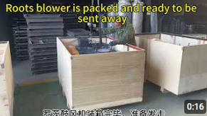 Don't hesitate! Roots blower, it works hard and has a long lifespan. Buying it is a profit!