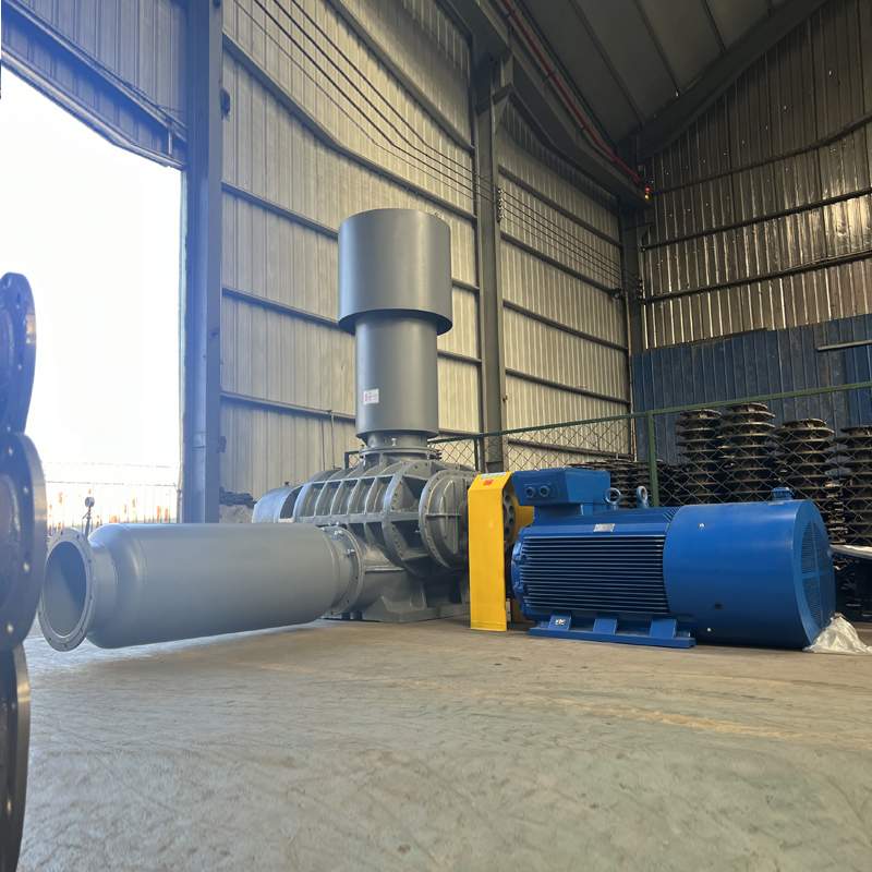 Oil-leakage prevention Roots blower Oil-leakage prevention Roots blower