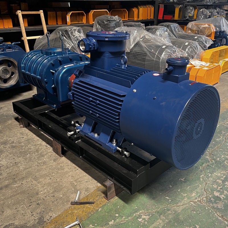 Industry's Roots Blowers