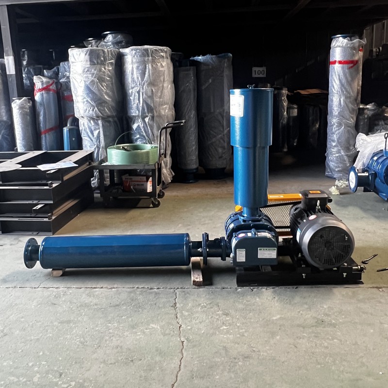 Industry's Roots Blowers