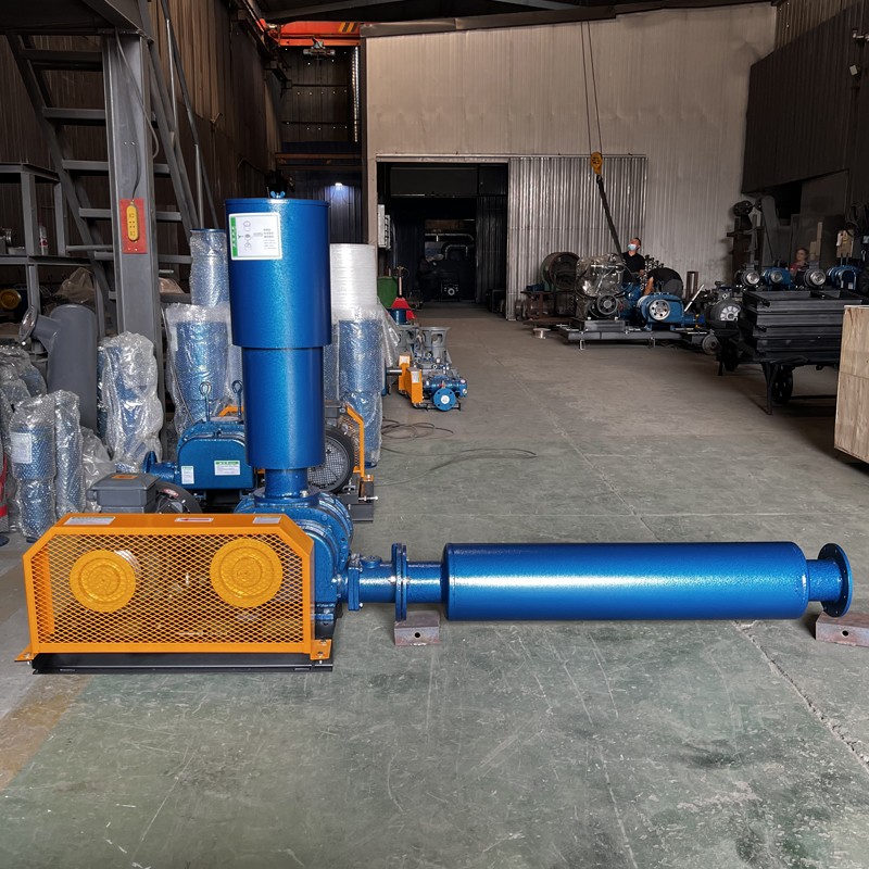 Industry's Roots Blowers