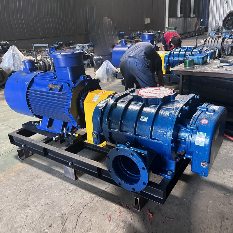 Industry's Roots Blowers