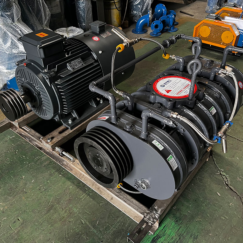 Roots blower Roots blower