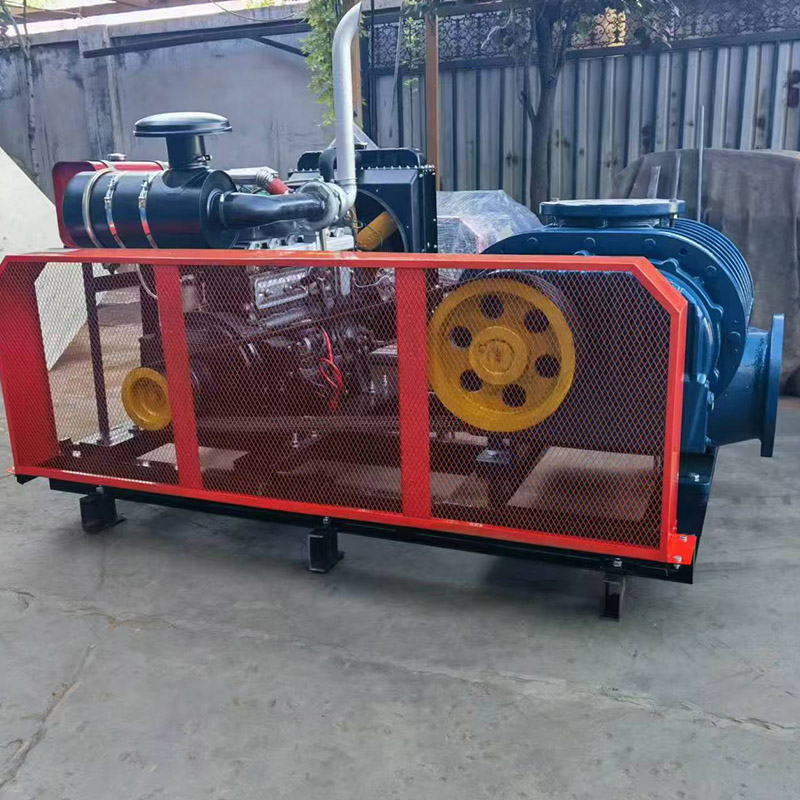 Roots blowers Roots blowers