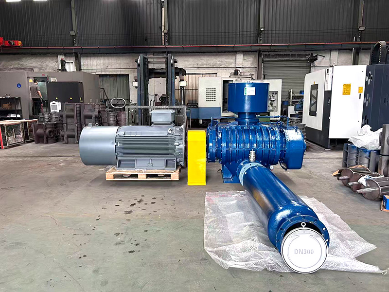 Roots blower Roots blower