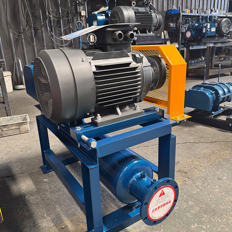 Low Noise Roots Blowers Low Noise Roots Blowers