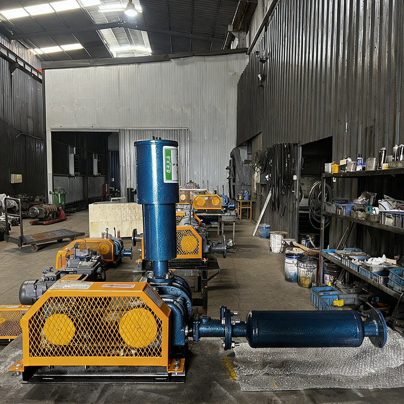 ow-energy oxygenated Roots blower