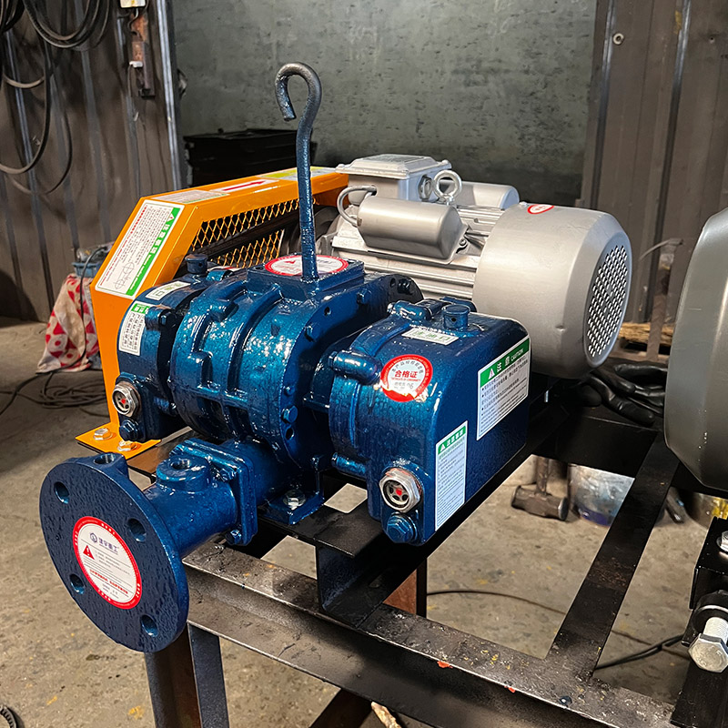 ow-energy oxygenated Roots blower