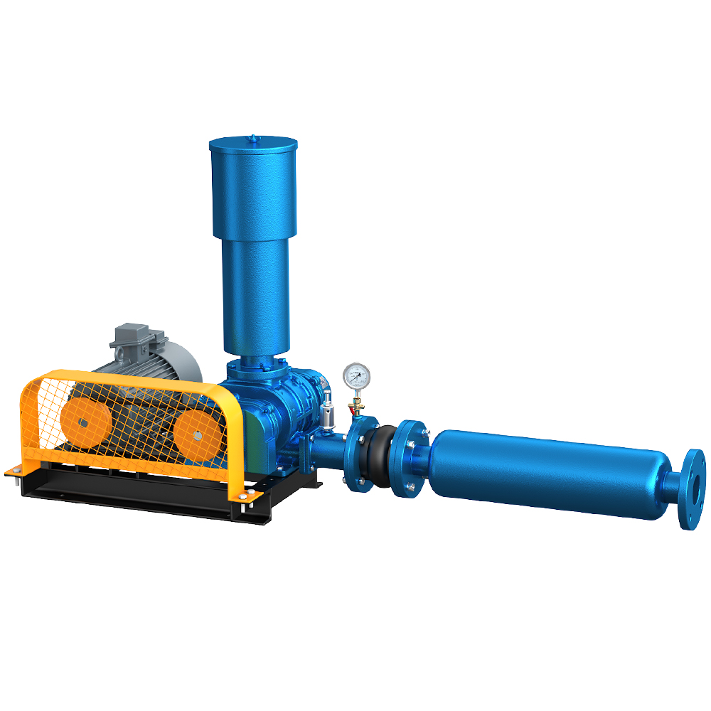 Roots Vacuum Pump
