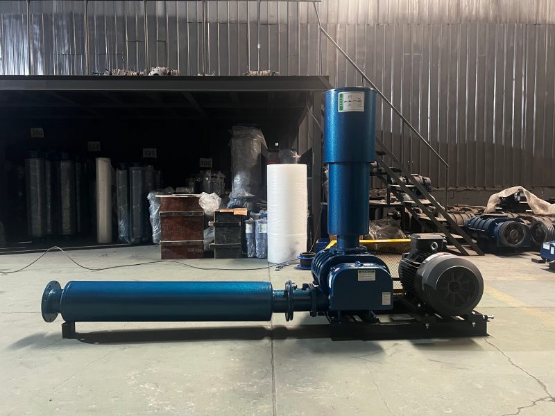 Pneumatic conveying system