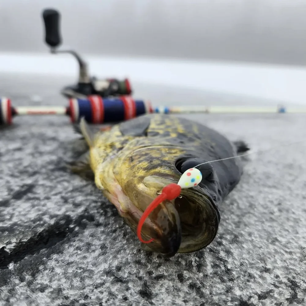 Tungsten Jigs