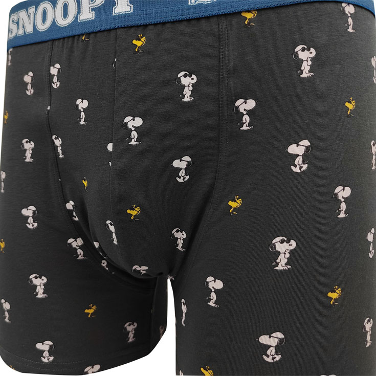 men briefs