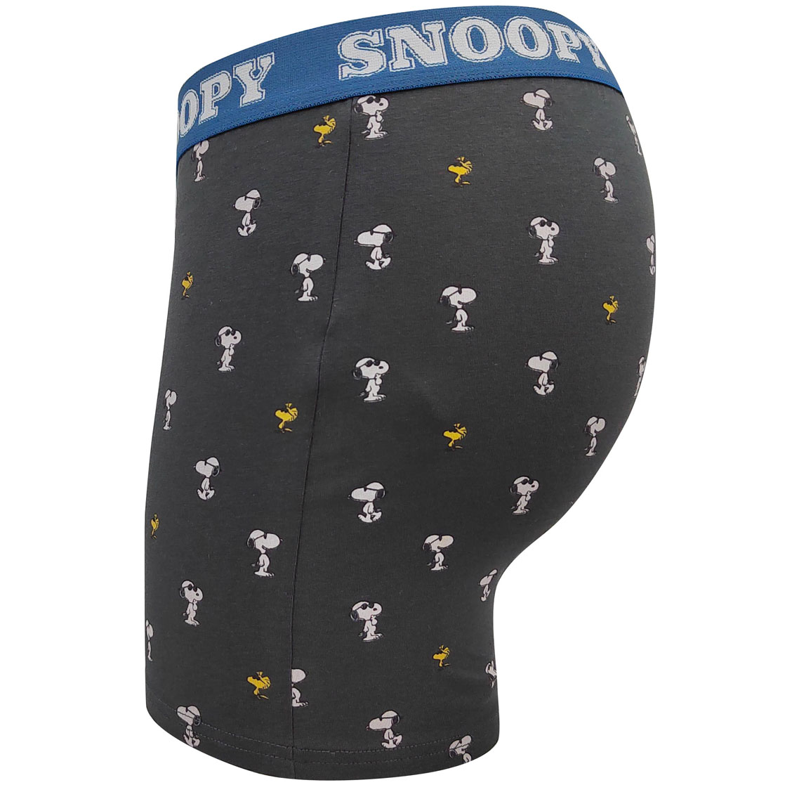 men briefs
