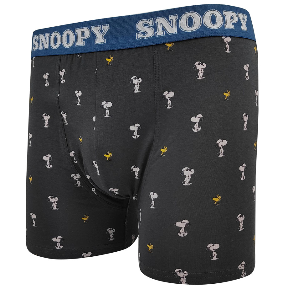 boxer briefs