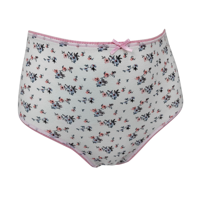 Paquete de 2 calzoncillos de algodón con estampado integral y cintura alta para mujer