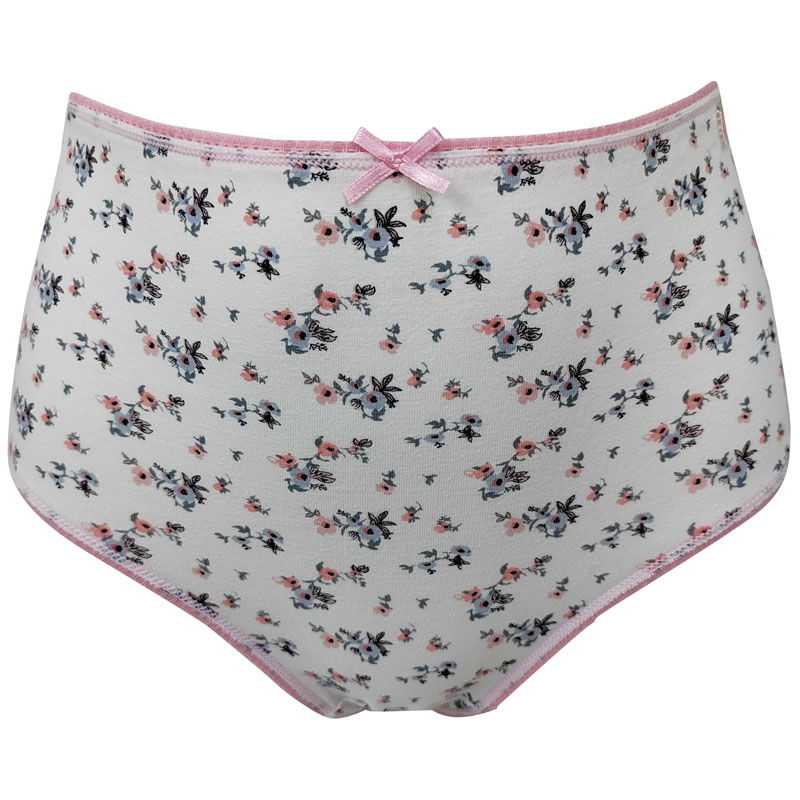 Paquete de 2 calzoncillos de algodón con estampado integral y cintura alta para mujer