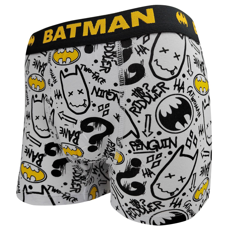 Calzoncillos tipo bóxer de algodón y elastano con estampado para niños