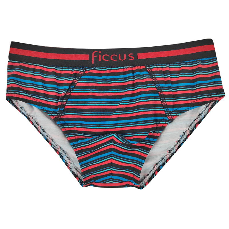 boy briefs