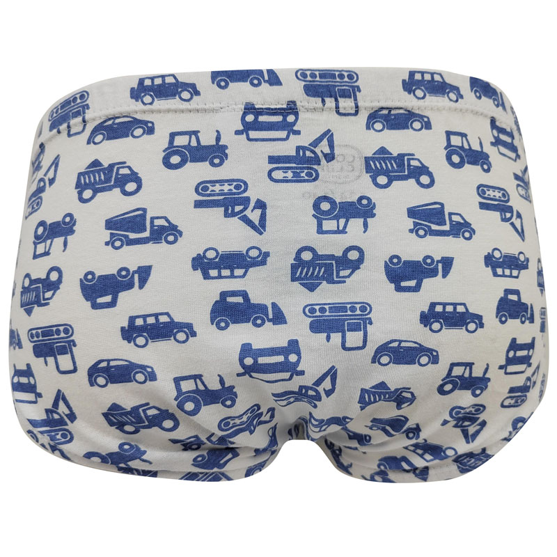briefs boys