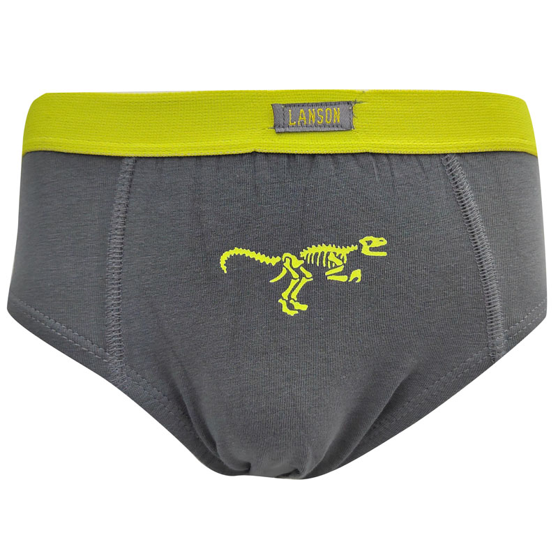 Calzoncillos tipo bóxer de algodón con diseño de dinosaurio para niños