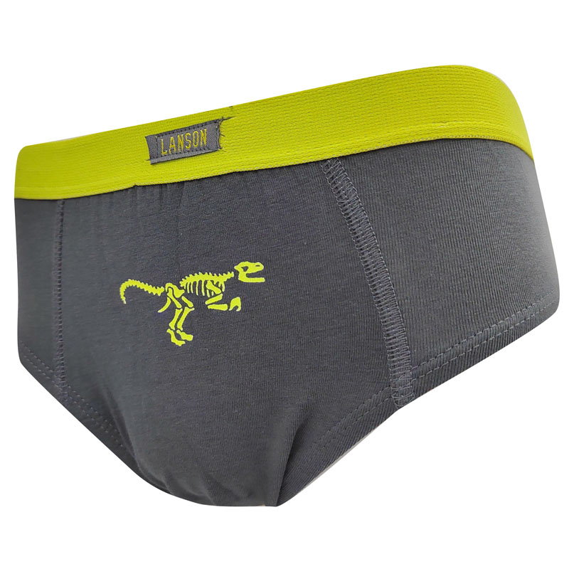Calzoncillos tipo bóxer de algodón con diseño de dinosaurio para niños