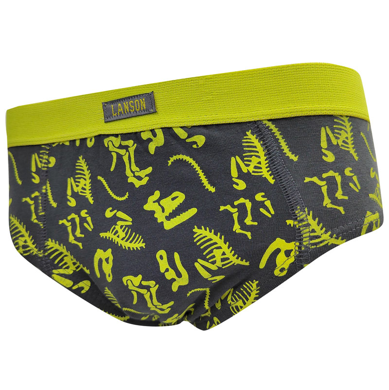 boxer briefs