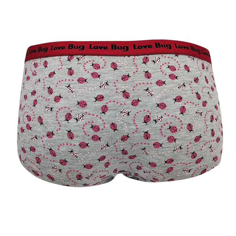 all-over print women`s boyshorts