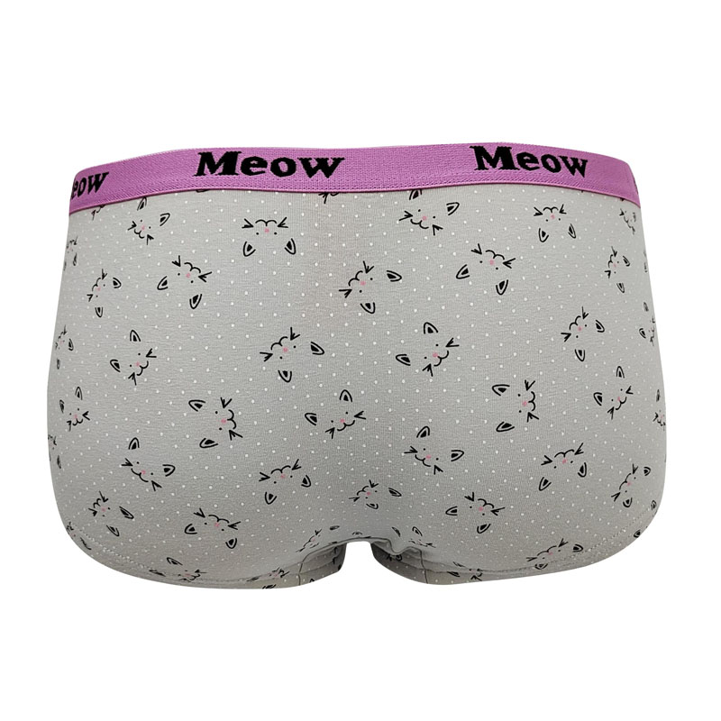 all-over print women`s boyshorts