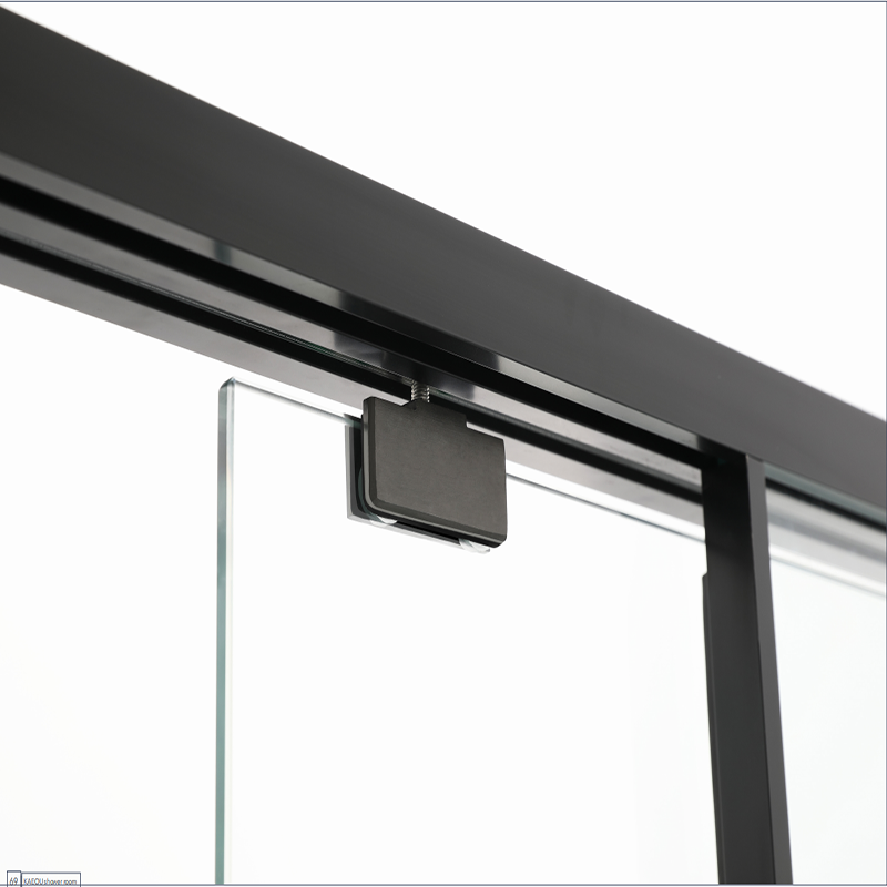 Shower Partition